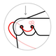 Image for article titled How to make medical-grade face shields at home for healthcare workers